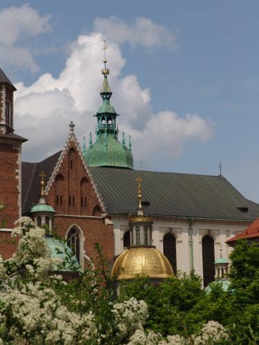 Wawel katedra 146.jpg